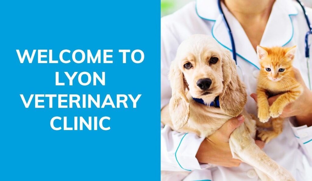 Veterinarian holding a golden retriever puppy and an orange kitten with a clinic welcome sign.