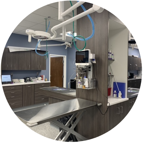 Modern dental clinic interior with an examination chair and various equipment.