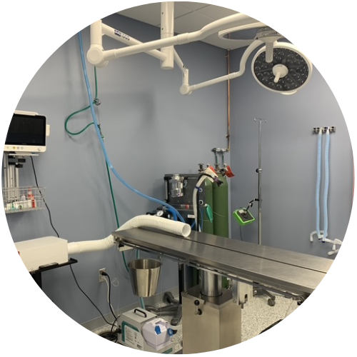 Modern veterinary surgery room with medical equipment.